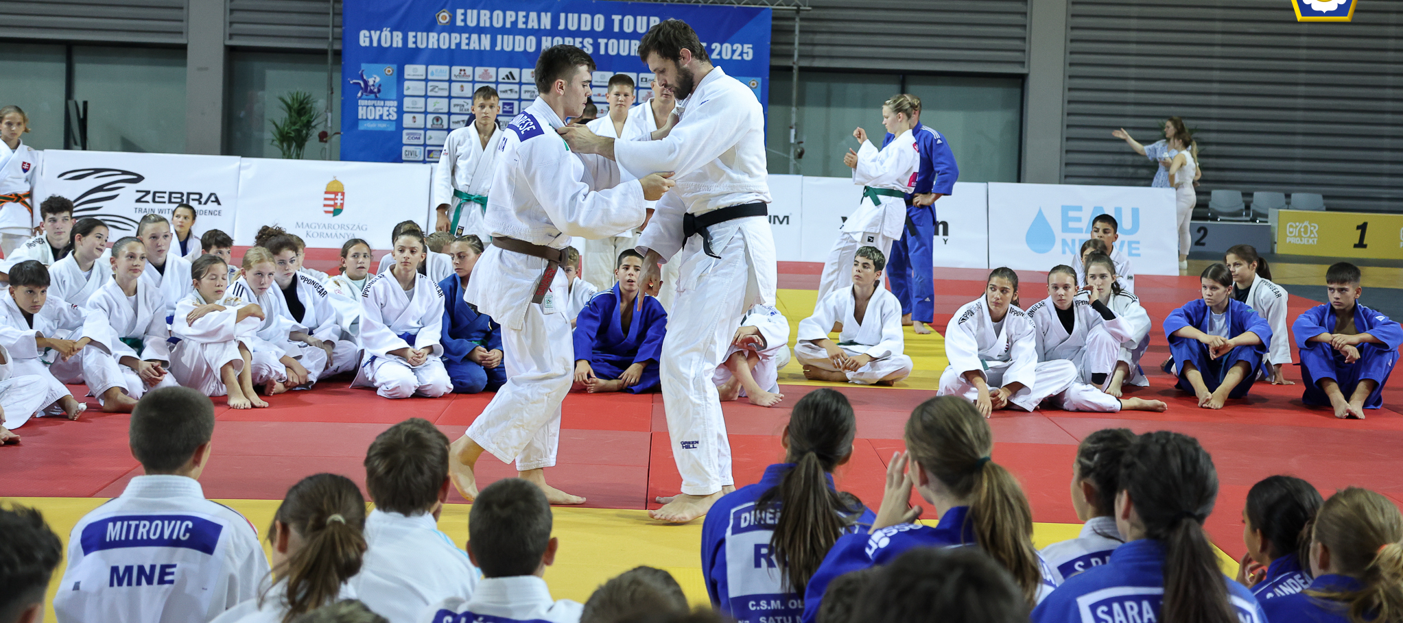 Blog Image