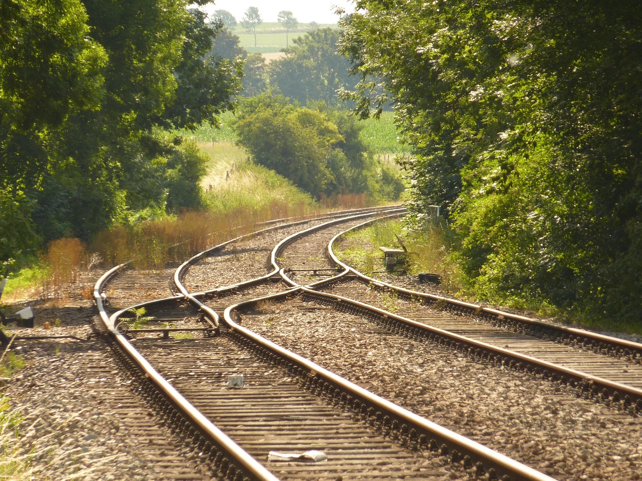 Blog Image