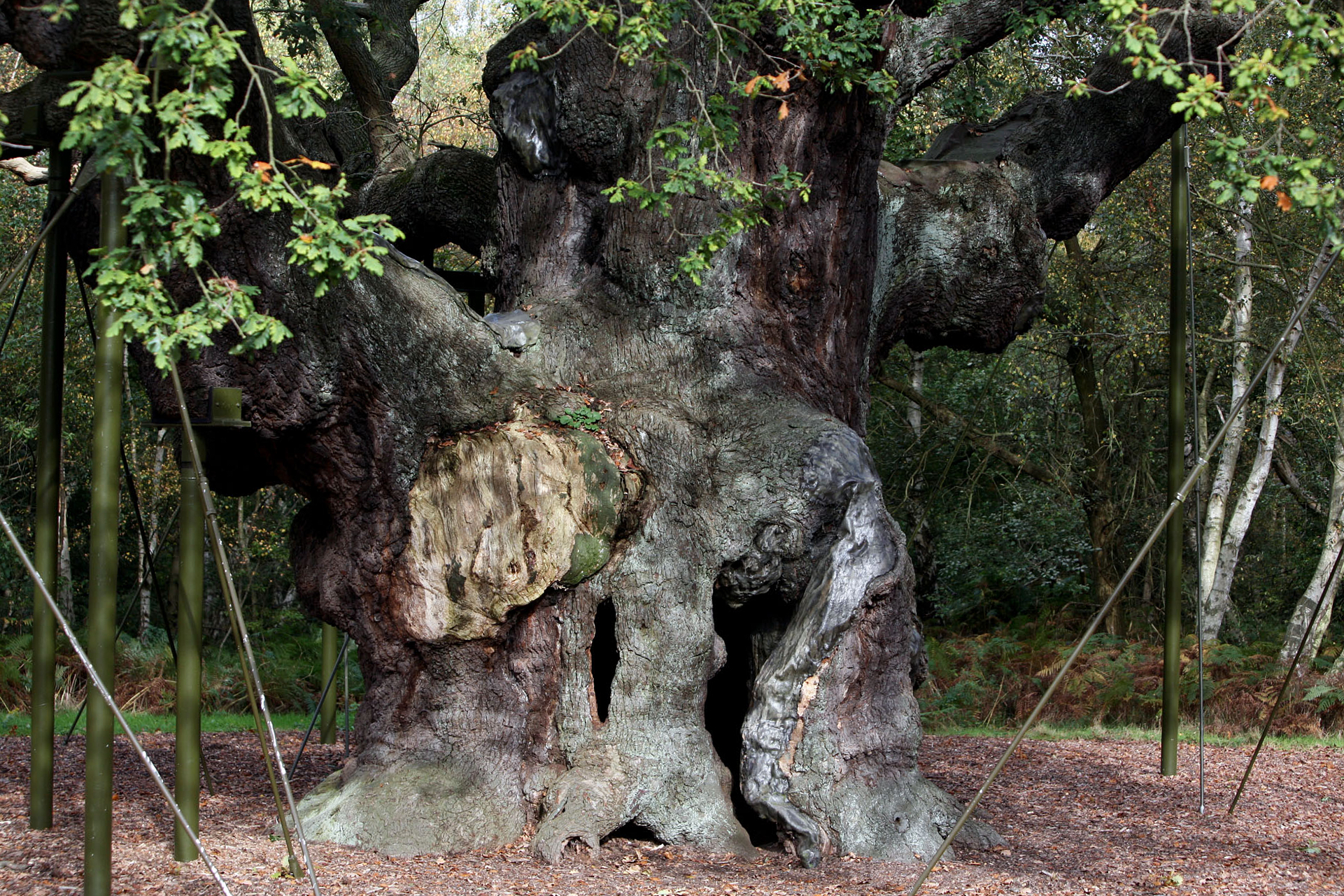 Blog Image