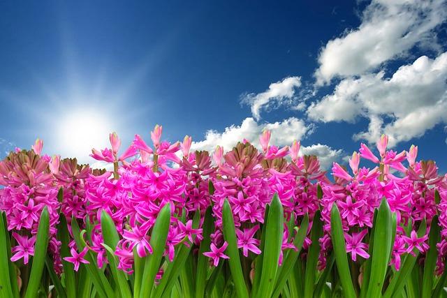 blog img