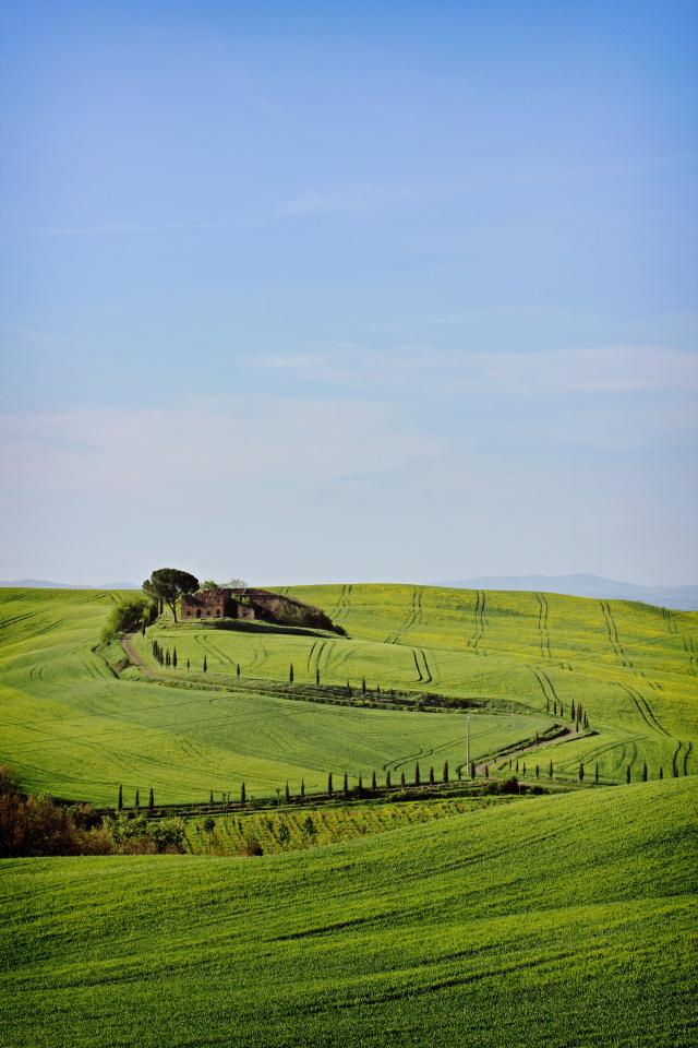 blog image
